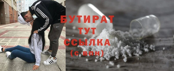 индика Арсеньев