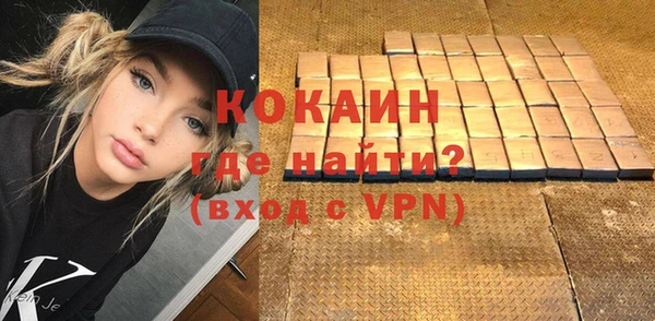 индика Арсеньев