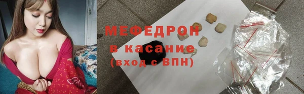 индика Арсеньев