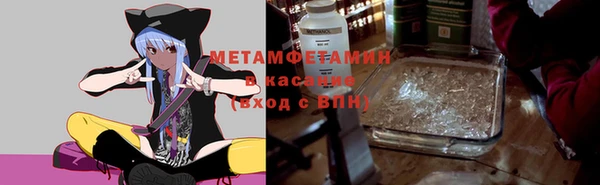 индика Арсеньев