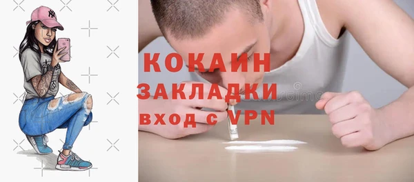 индика Арсеньев