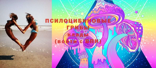 спайс Аркадак