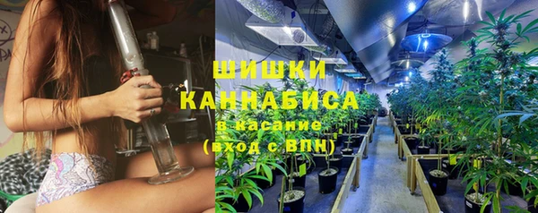 индика Арсеньев
