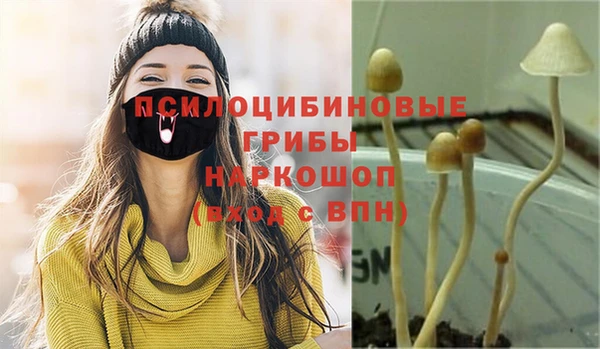 индика Арсеньев