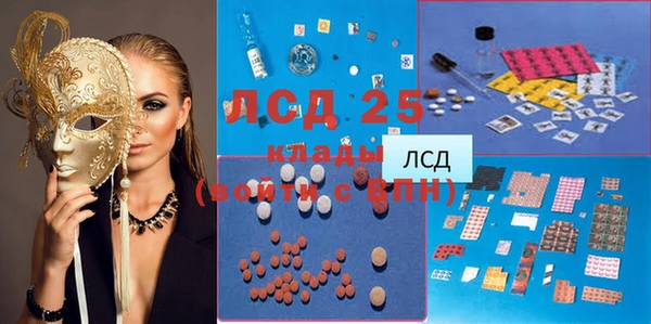 индика Арсеньев