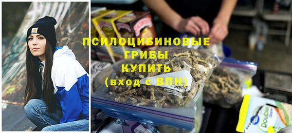 индика Арсеньев