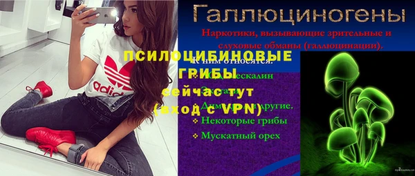 индика Арсеньев