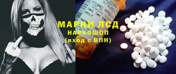 индика Арсеньев
