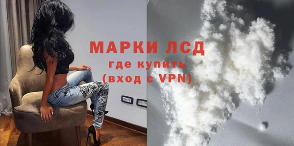 индика Арсеньев